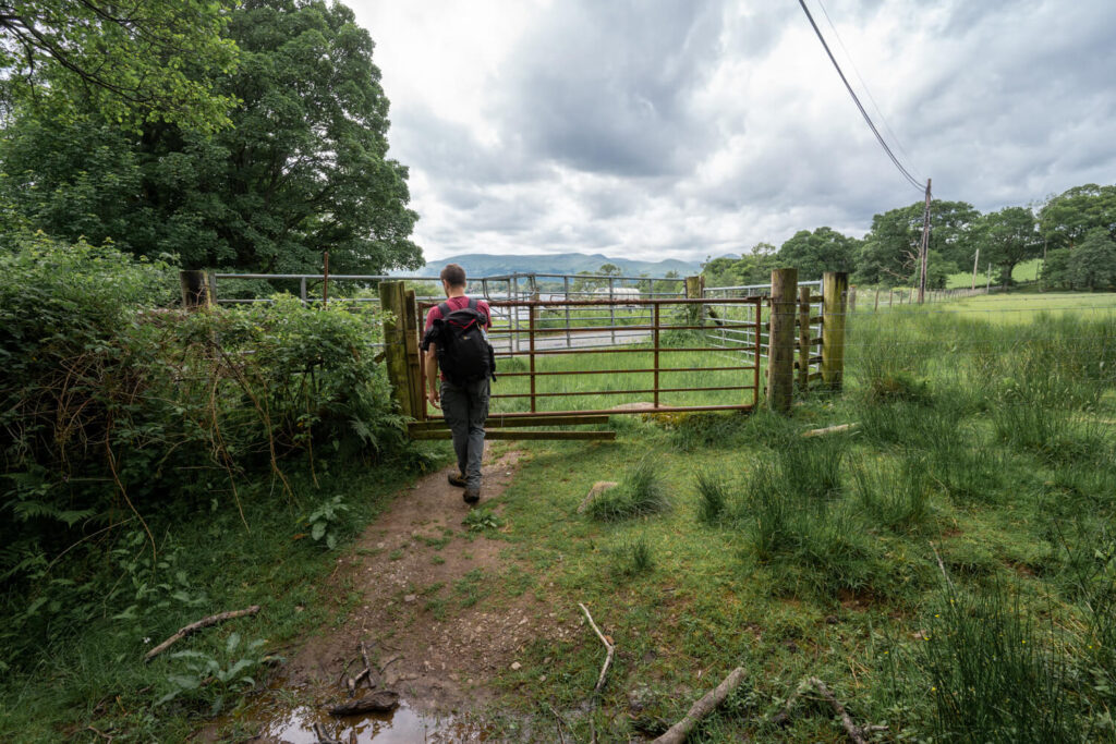 man walking towards gate