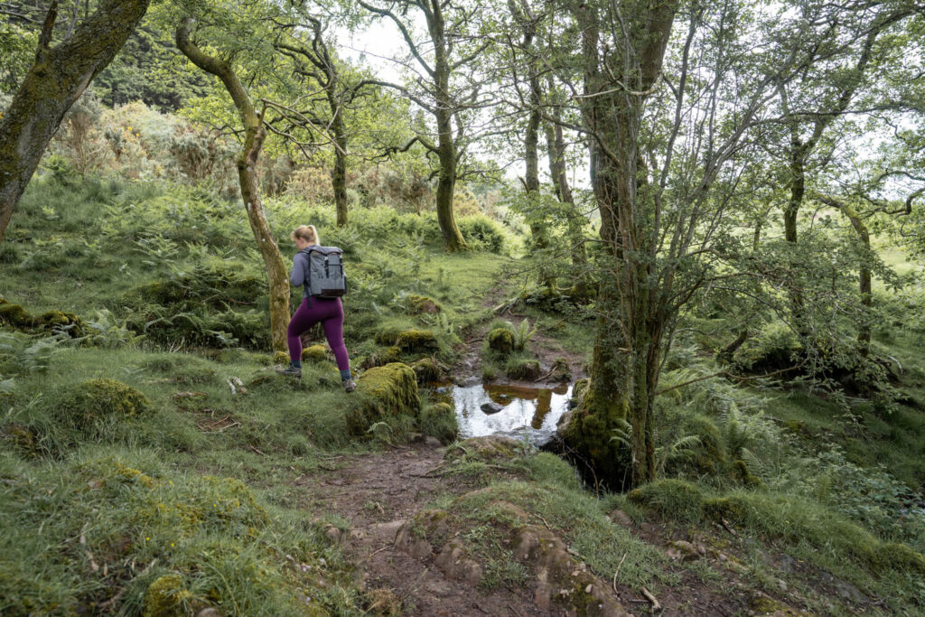 girl walking through forest