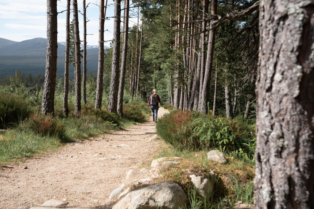 girl walking through forest