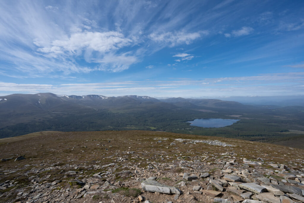 mealle a bhuachaille