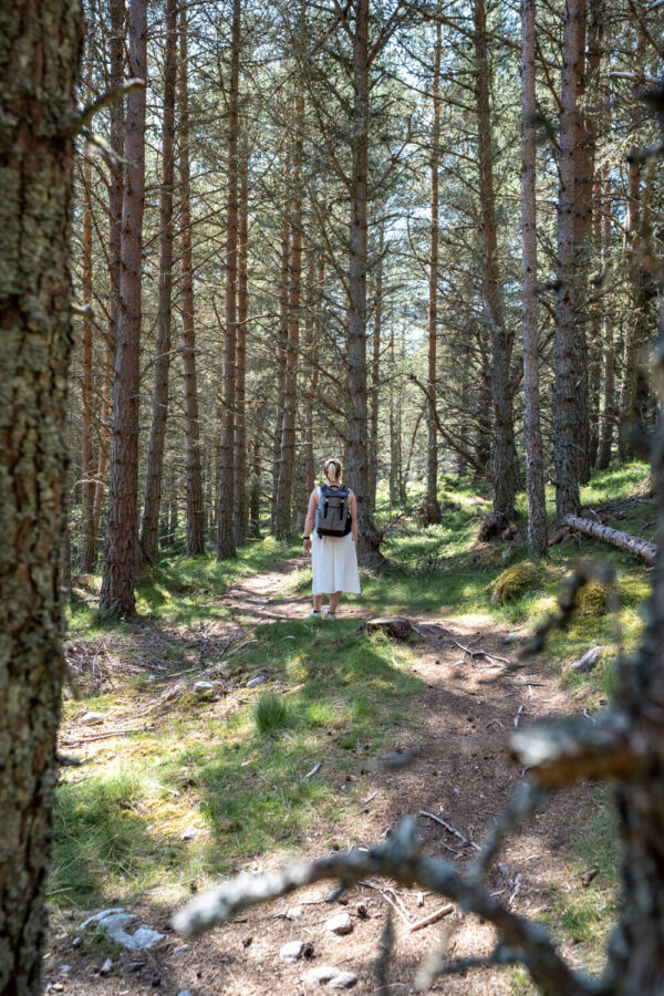 Best Aviemore Walks for Beginners highlands2hammocks
