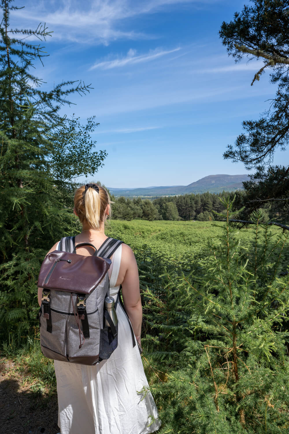 Best Aviemore Walks for Beginners highlands2hammocks