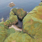 Puffin Cove – A Hidden Attraction on the NC500 Road Trip