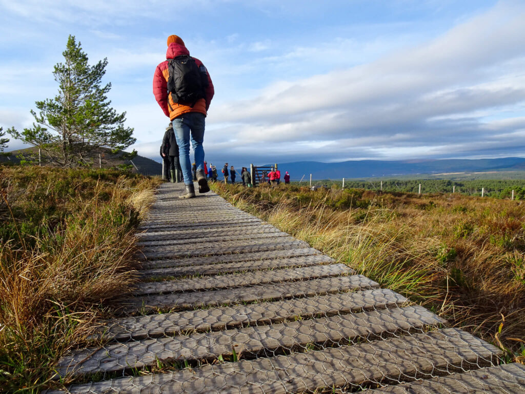 path to the lower mountain