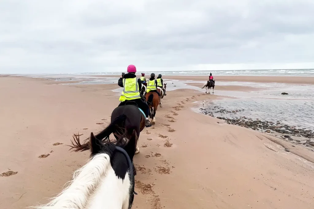 horseriding - Cumbria