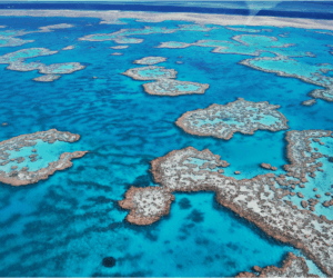 A Complete Guide To Visiting The Whitsundays  – Incredible Places to Visit in the Whitsundays