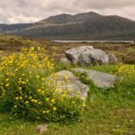 The Best Things To Do In Uist Outer Hebrides – The Top Attractions To Visit In Uist