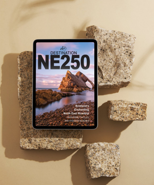 NE250 ebook