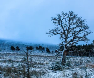 The NC500 in Winter: A Guide To Historical Hidden Gems