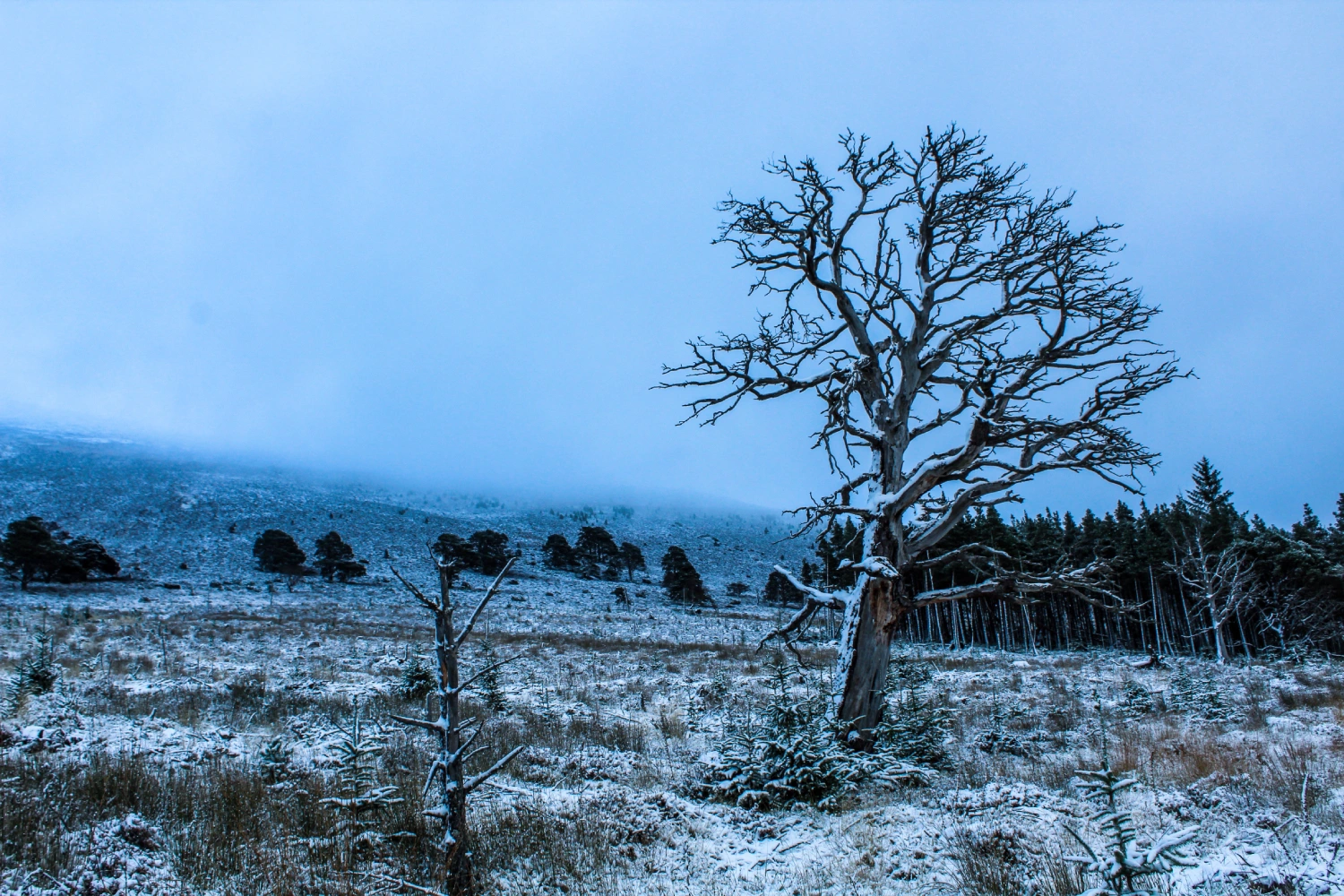 Read more about the article The NC500 in Winter: A Guide To Historical Hidden Gems
