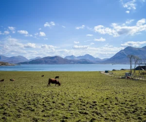 Skye’s Hidden Gems: Your Essential Guide to Raasay
